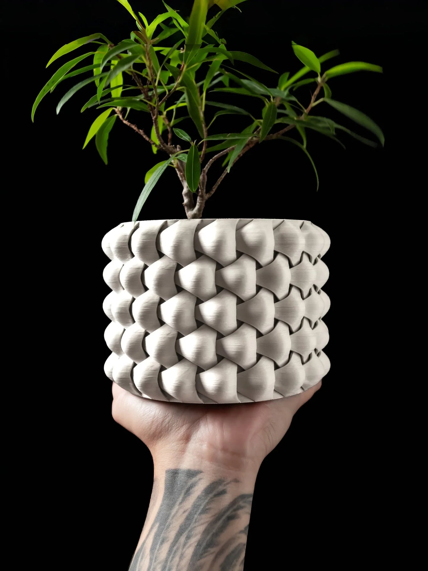 Modern Minimalist 3D Printed Plant Pot – Biodegradable Flower Planter for Home Decor, Eco-Friendly Sustainable Gift (Tri-Weave)